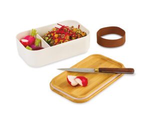 Satsuma Bento Lunch box