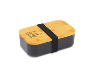 Satsuma Bento Lunch box